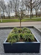 Metalen plantenbakken. BUITEN  GENIETEN IN STIJL 100x100x40, Minder dan 60 cm, Nieuw, Ophalen of Verzenden, Metaal