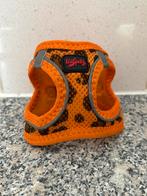 Honden tuigje oranje, Ophalen of Verzenden, Nieuw