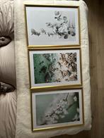 3x IKEA foto Lijsten (Goud), Ophalen, Overige materialen, 50 tot 75 cm, Zo goed als nieuw