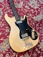 Höfner 182 Solid Bass - 1965, Ophalen, Gebruikt