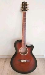 Richewood Gitaar, Muziek en Instrumenten, Snaarinstrumenten | Gitaren | Akoestisch, Ophalen, Gebruikt, Western- of Steelstringgitaar