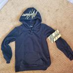 2 truien Malelions mt 152, Kinderen en Baby's, Kinderkleding | Maat 152, Ophalen of Verzenden, Gebruikt, Jongen, Trui of Vest