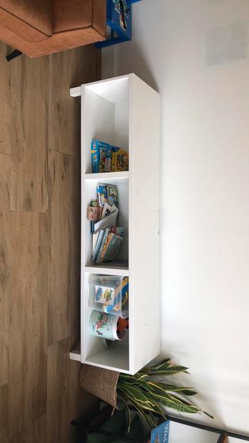 Besta ikea Tv meubel of als opbergkast 