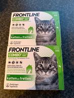 NIEUW Frontline Combo kat – 6 pipetten (2 doosjes), Dieren en Toebehoren, Ophalen of Verzenden, Nieuw