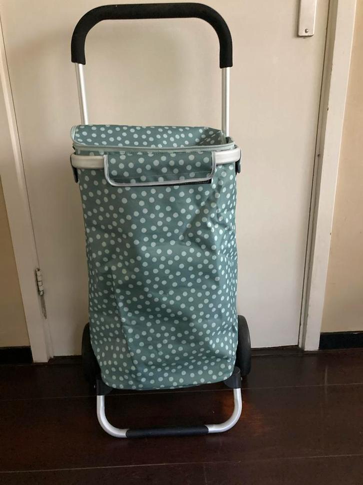 Boodschappentrolley met koeltas - Stippen, Sieraden, Tassen en Uiterlijk, Tassen | Reistassen en Weekendtassen, Zo goed als nieuw