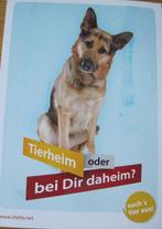 herdershond - Tierheim Shelta - Duitsland, Verzamelen, Ansichtkaarten | Dieren, Gelopen, Verzenden, 1980 tot heden, Hond of Kat