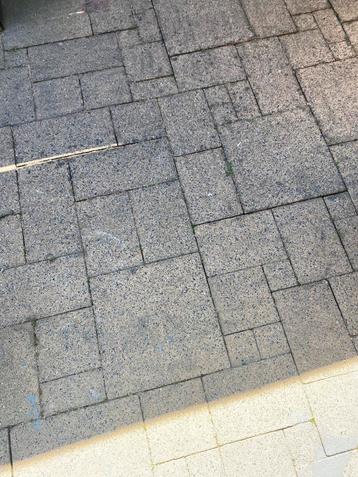 Wild verband ongeveer 25 m2 gratis  beschikbaar voor biedingen