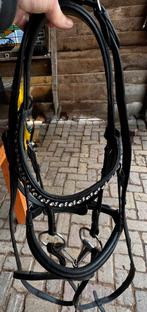 Hoofdstel HB Showtime COB, Ophalen, Nieuw, Dressuur