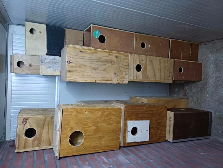 Broedblokken, voor papegaaien en parkieten, Dieren en Toebehoren, Vogels | Toebehoren, Zo goed als nieuw, Kooi-accessoires, Ophalen of Verzenden