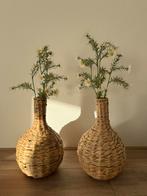 Vazen riet, Huis en Inrichting, Woonaccessoires | Vazen, Overige kleuren, Ophalen of Verzenden, Minder dan 50 cm, Glas