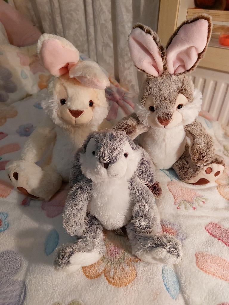 paashazen, Ophalen, Nieuw