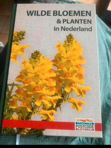 Wilde planten en bloemen in Nederland -= boek beschikbaar voor biedingen