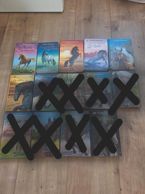 Christine Linneweever - Gouden paarden serie 6 delen, Boeken, Kinderboeken | Jeugd | 10 tot 12 jaar, Gelezen, Ophalen of Verzenden