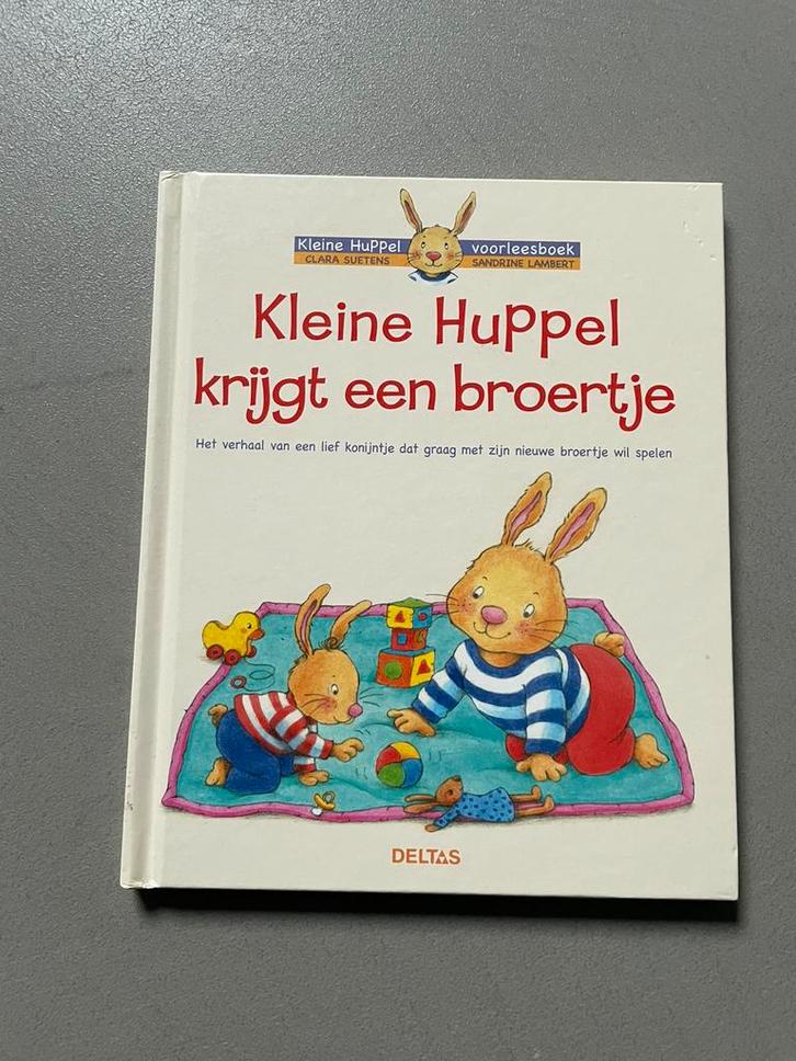 Lambert Sandrine - Kleine Huppel krijgt een broertje, Boeken, Kinderboeken | Baby's en Peuters, Nieuw, Ophalen of Verzenden