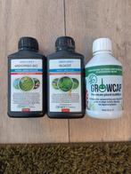 Aquarium voeding, co2 en anti alg, Ophalen of Verzenden, Gebruikt, Filter of Co2