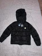 Trapstar puffer L nooit gedragen, Kleding | Heren, Nieuw, Maat 52/54 (L), Ophalen of Verzenden, Trapstar