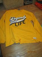 longsleeve Vingino maat 176, Kinderen en Baby's, Kinderkleding | Maat 176, Ophalen of Verzenden, Zo goed als nieuw, Vingino, Shirt of Longsleeve