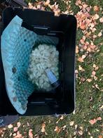 Hozelock Ecopower+ 12000 Vijverfilter met UVC, Ophalen, Gebruikt, Vijverfilter