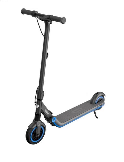 Elektrische step Ninebot ekickscooter Zing E10, Fietsen en Brommers, Steps, Gebruikt, Elektrische step (E-scooter), Ophalen of Verzenden