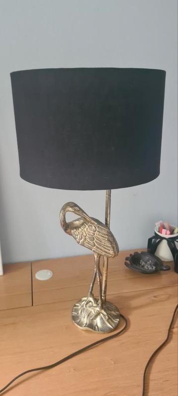 Sissyboy homeland lamp beschikbaar voor biedingen