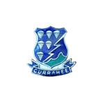 WWII US REPRO Curahee Airborne pin, Ophalen of Verzenden, Amerika, Embleem of Badge