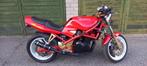 Suzuki Bandit, Motoren, Particulier, Toermotor