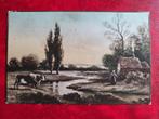 Oude Ansichtkaart - Landschap met Koe, Antiek en Kunst, Kunst | Tekeningen en Foto's, Ophalen of Verzenden
