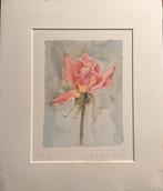Delicate roos van Carol Matyia Ross, Ophalen of Verzenden