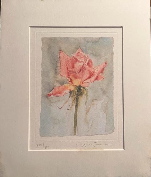 Delicate roos van Carol Matyia Ross, Antiek en Kunst, Kunst | Litho's en Zeefdrukken, Ophalen of Verzenden