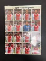 Ajax Voetbalmagneten - Unieke Grasmat, Ophalen of Verzenden, Zo goed als nieuw, Ajax, Overige typen