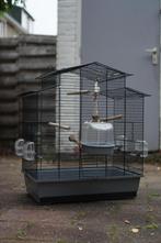 Ruime vogelkooi met accessoires, Ophalen, Gebruikt, Metaal, Vogelkooi