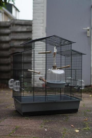 Ruime vogelkooi met accessoires beschikbaar voor biedingen