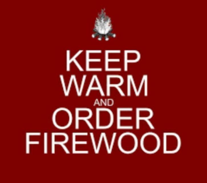 Jumbo netten haardhout, Tuin en Terras, Haardhout, Blokken, Berkenhout, Minder dan 3 m³, Ophalen of Verzenden