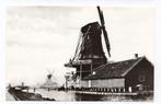 ZAANDIJK - Molen - K. Tanger - Reproductie, Verzenden, Ongelopen, Noord-Holland