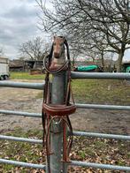 Cognac hoofdstel, Ophalen of Verzenden, Nieuw, Dressuur