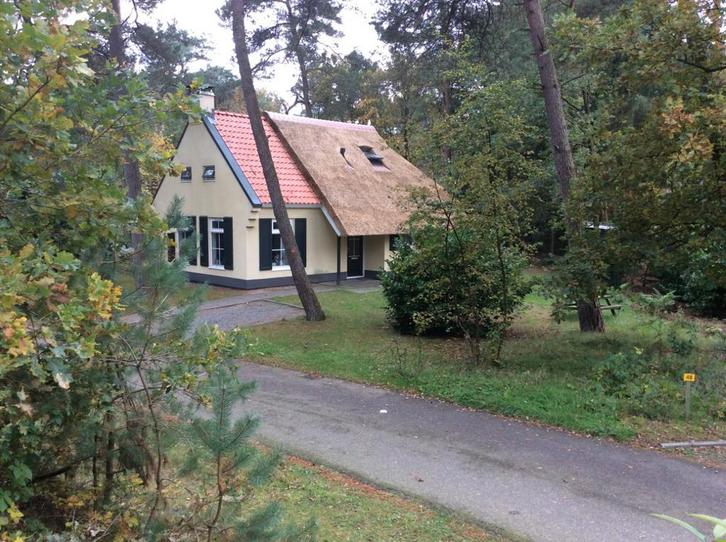 Vakantiewoning in Drenthe te huur park ‘t Wildryck Diever, Vakantie, Vakantiehuizen | Nederland, Drenthe, Landhuis of Villa, Zwembad