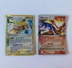 Pokemonkaarten Pidgeot en infernape X, Hobby en Vrije tijd, Verzamelkaartspellen | Pokémon, Ophalen of Verzenden, Zo goed als nieuw