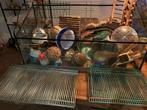 Hamster spullen+kooi/ aquarium, Dieren en Toebehoren, Knaagdieren en Konijnen | Hokken en Kooien, Kooi, Minder dan 75 cm, Zo goed als nieuw