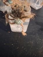 Sierpotjes Partij, Ophalen of Verzenden