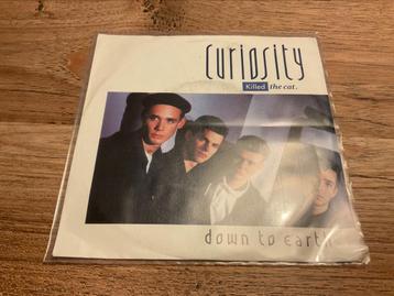 Curiosity Killed the cat, Down to earth beschikbaar voor biedingen