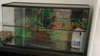 Terrarium / Gerbilarium 100x40x50, Kooi, Zo goed als nieuw, Hamster, 75 tot 110 cm