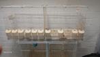 -1-stuk-kweek kooi Hokken Gedruikt, Ophalen, Gebruikt, Metaal, Broedkooi of Kweekkooi