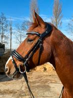 LJ Leathers hoofdstel FULL - Nieuw!, Dieren en Toebehoren, Paarden en Pony's | Hoofdstellen en Tuigage, Nieuw, Ophalen of Verzenden