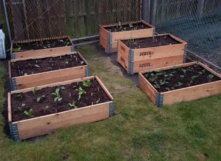 Moestuin bakken, palletranden., Tuin en Terras, Bloembakken en Plantenbakken, Nieuw, Hout, Minder dan 30 cm, 100 cm of meer, Rechthoekig