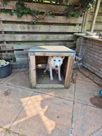 Buitenhok hok voor hond kat huisdier, Dieren en Toebehoren, Ophalen, Gebruikt, Minder dan 65 cm