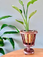 Vintage houten plantenbak bloempot plantenstandaard, Ophalen of Verzenden, Zo goed als nieuw, Rond, Hout