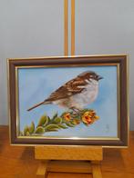 Schilderij mus op plant met lijst - eigen werk - vogels mus, Ophalen of Verzenden