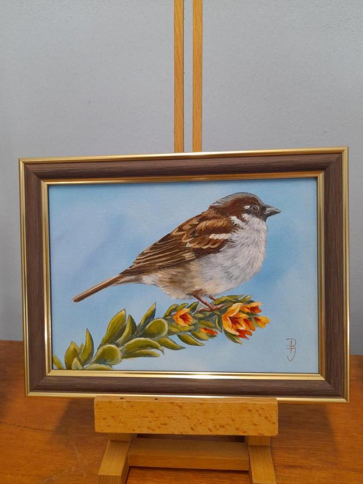 Schilderij mus op plant met lijst - eigen werk - vogels mus, Antiek en Kunst, Kunst | Schilderijen | Klassiek, Ophalen of Verzenden