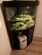 Juwel hoek Aquarium Trigon 190, Dieren en Toebehoren, Vissen | Aquaria en Toebehoren, Ophalen, Gebruikt, Leeg aquarium