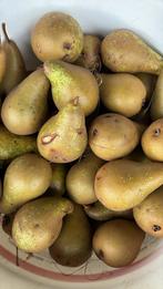Handperen vers van de boom, Ophalen